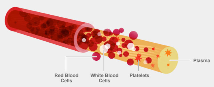 why-you-should-do-regular-blood-tests-benefits-of-blood-testing-and