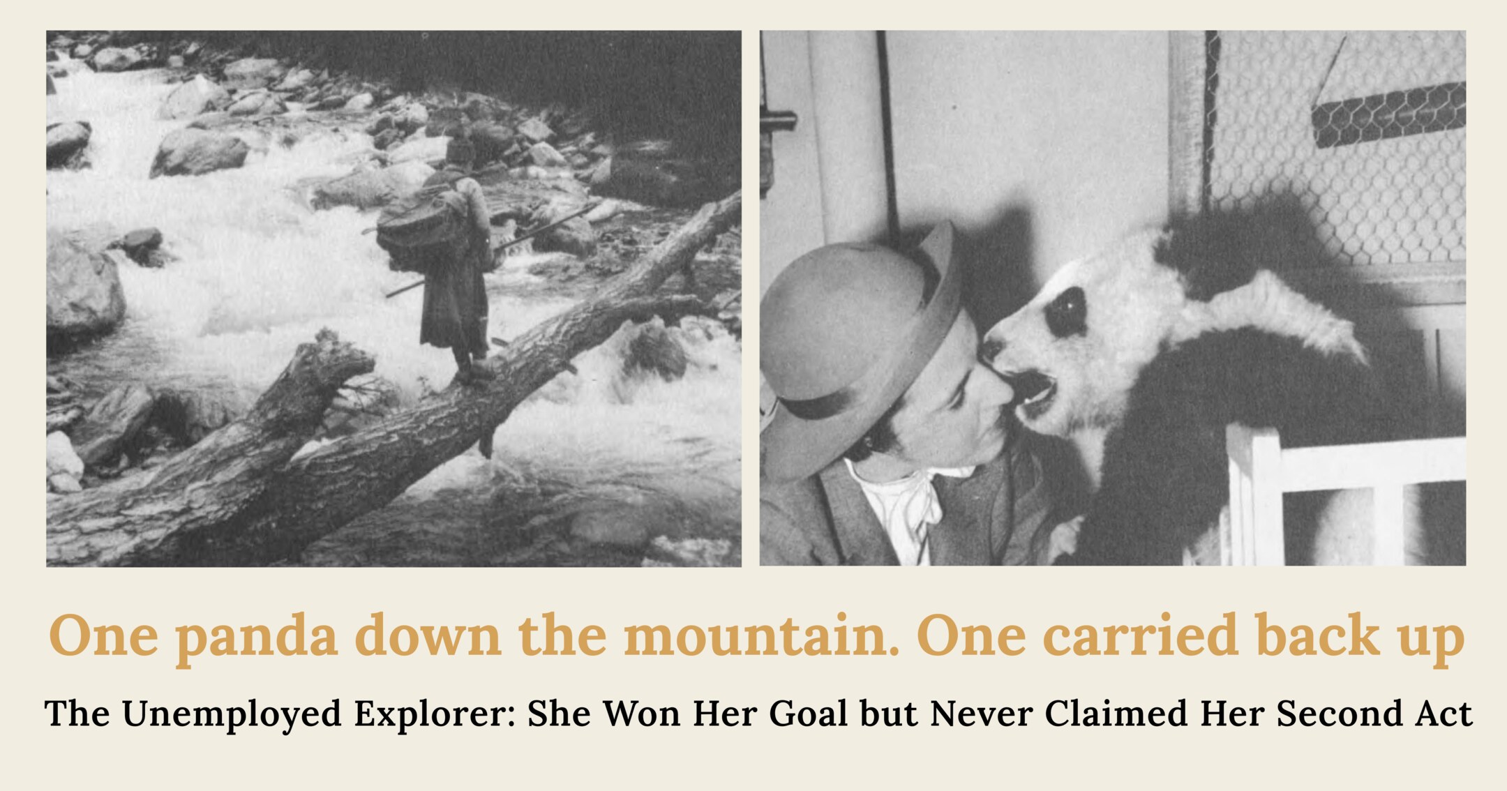 Two 1938 photographs side by side: a porter crossing a mountain river on a fallen log, and Ruth Harkness face to face with Su Lin at the crate